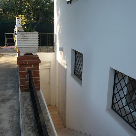 Olive&Sea Villa-Sea Mattinata Exterior foto