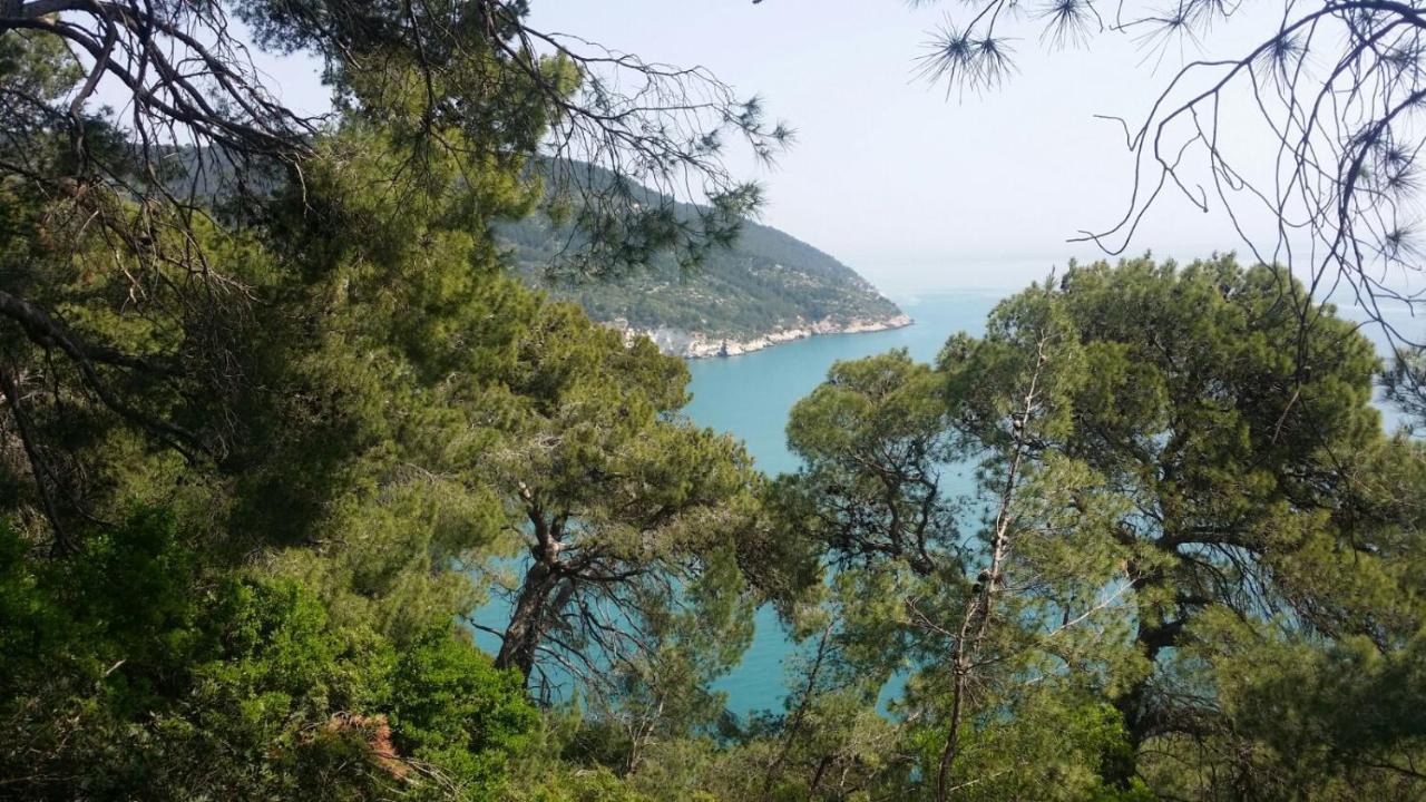 Olive&Sea Villa-Sea Mattinata Exterior foto