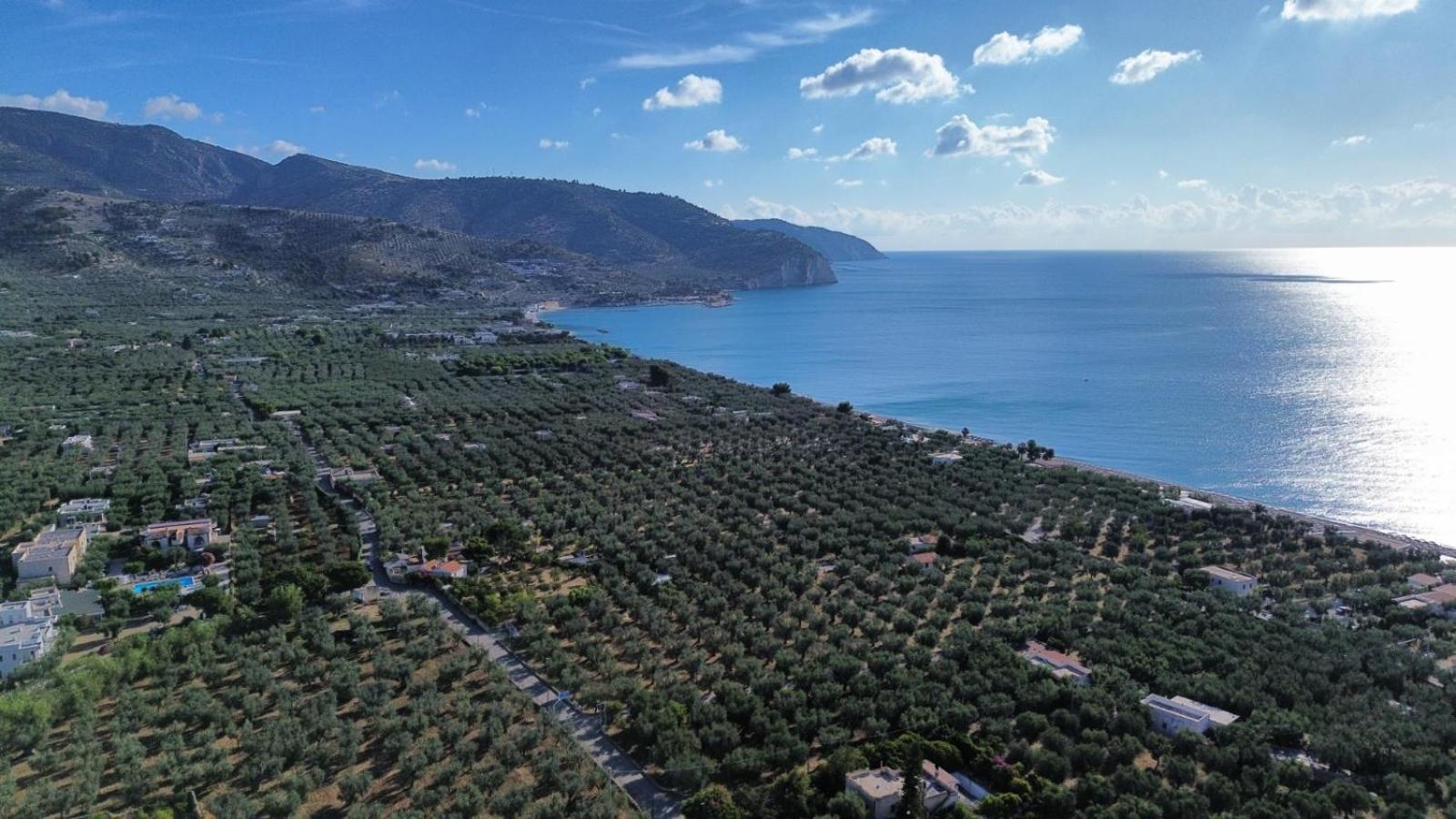 Olive&Sea Villa-Sea Mattinata Exterior foto